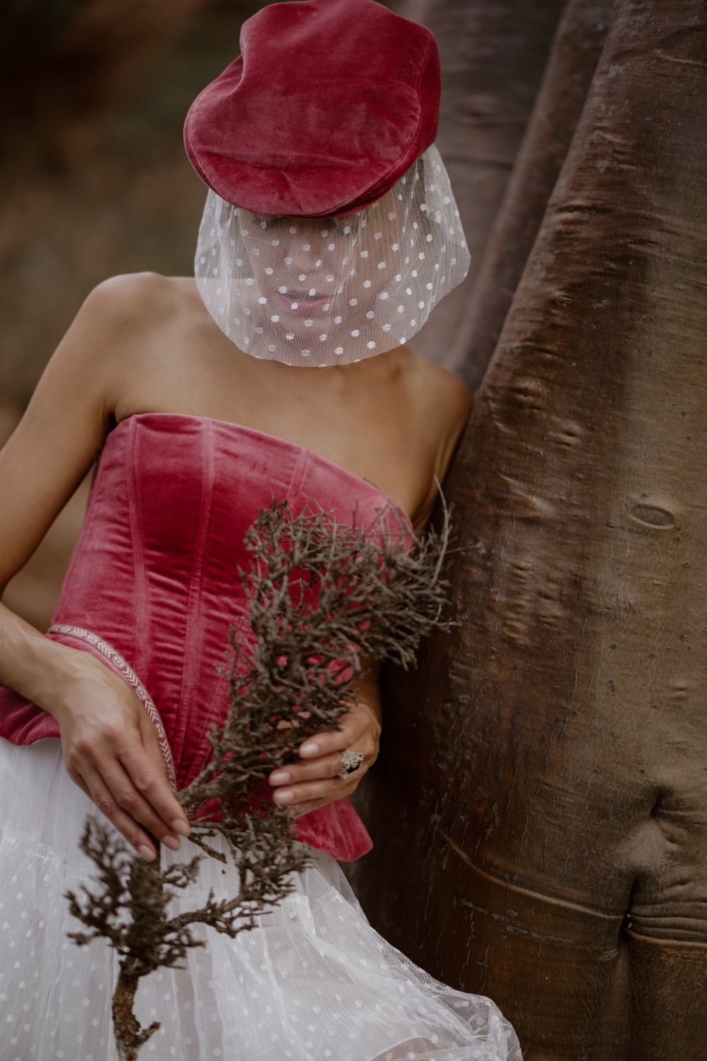 The Mystery Velvet Corset