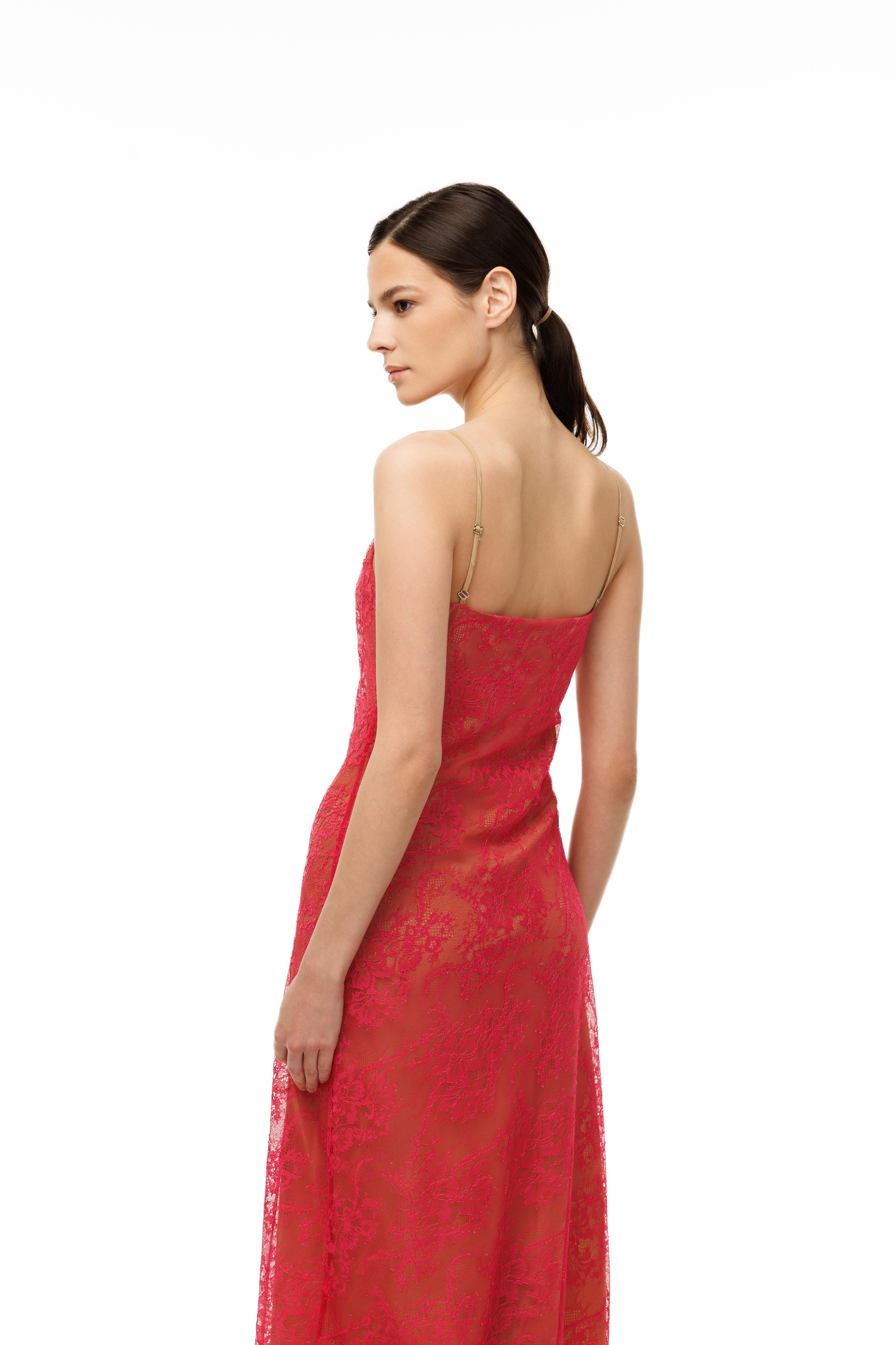 Rose Rêve