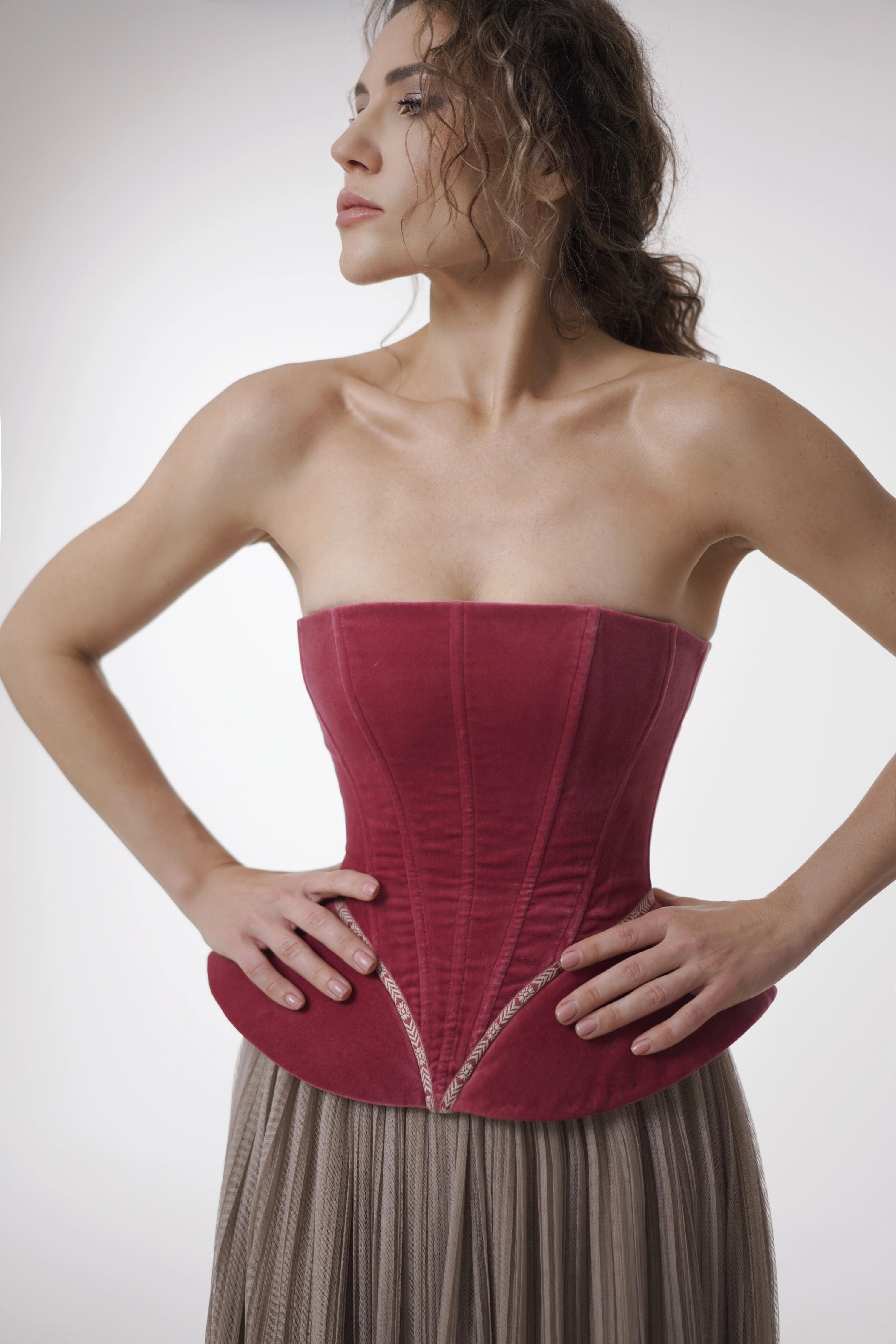 The Mystery Velvet Corset