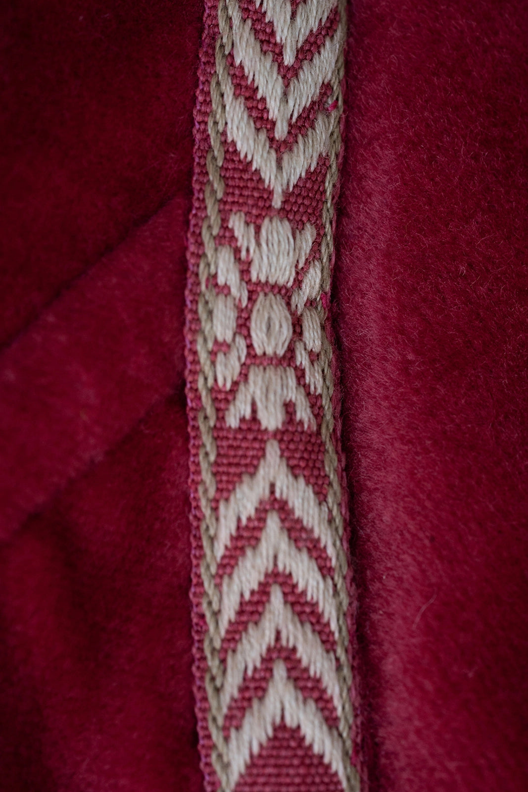 The Mystery Velvet Corset