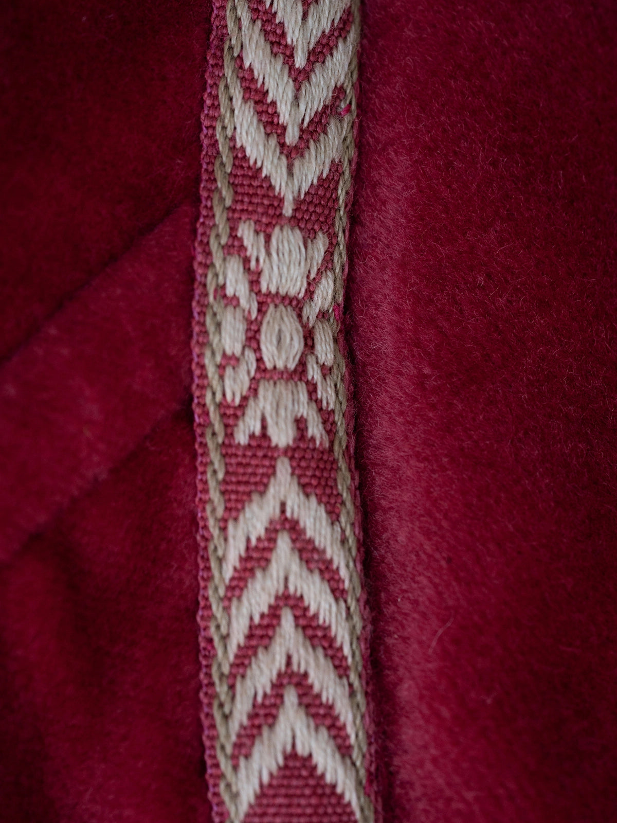 The Mystery Velvet Corset